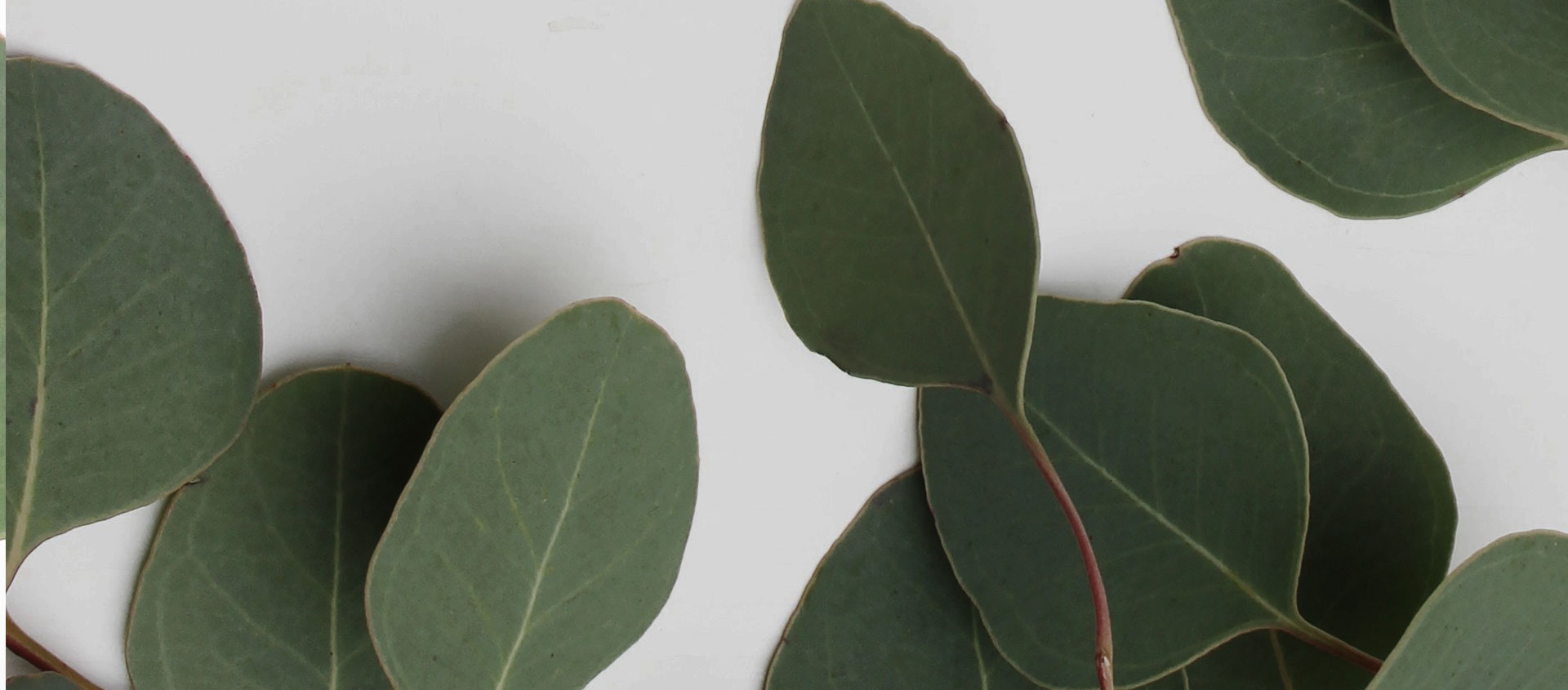 Взыскание ущерба от экологических правонарушений в Промышленной